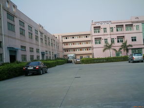 深耕莞邑，服務灣區——深圳市伙伴房地產經紀東莞分公司產品展示與物業管理